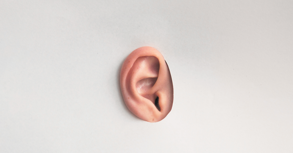 a picture of an ear poking through a hole cut in a sheet of cardboard